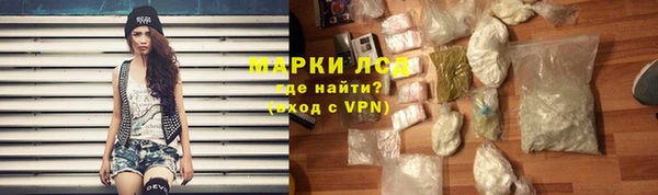 СК Алексин