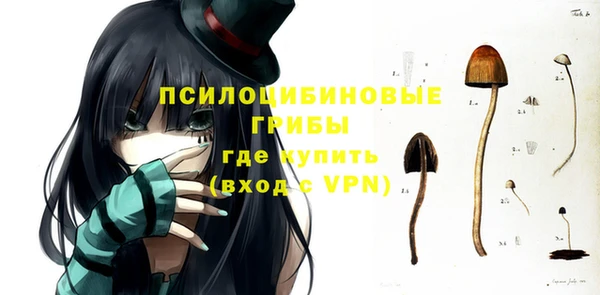 гидра Алексеевка