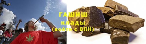 СК Алексин