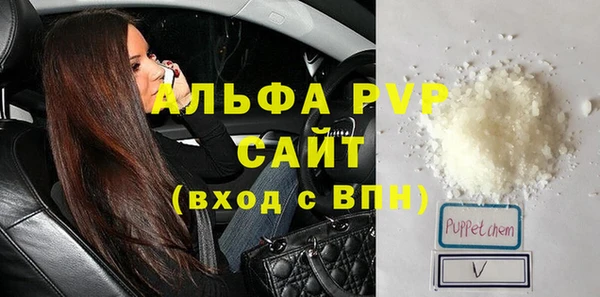 СК Алексин