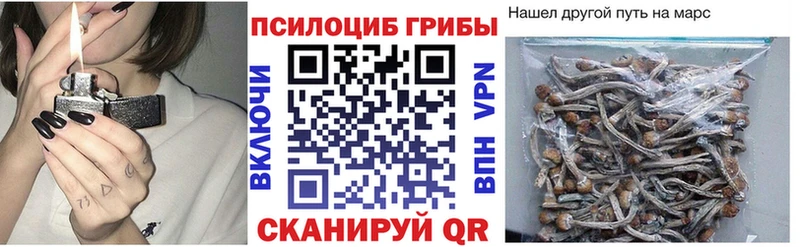 Галлюциногенные грибы ЛСД Белгород